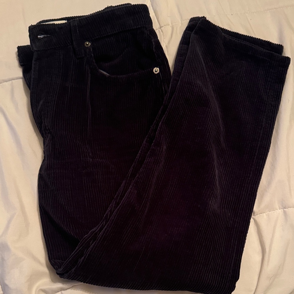 Reformation Navy Corduroy Pants